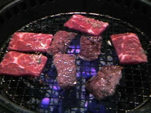 動物病院、美容室のHP制作はお任せください！＠WEB制作CUBES-焼き肉